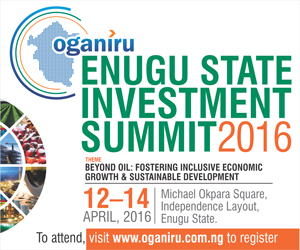 Enugu State Investment summit partners Daily Times