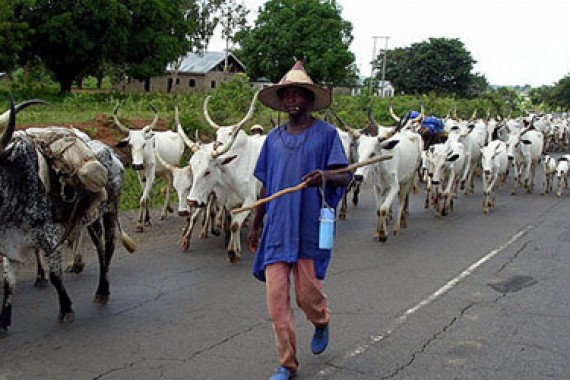 herdsmen