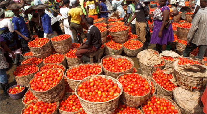 tomatoes scarcity