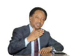 Shehu Sani