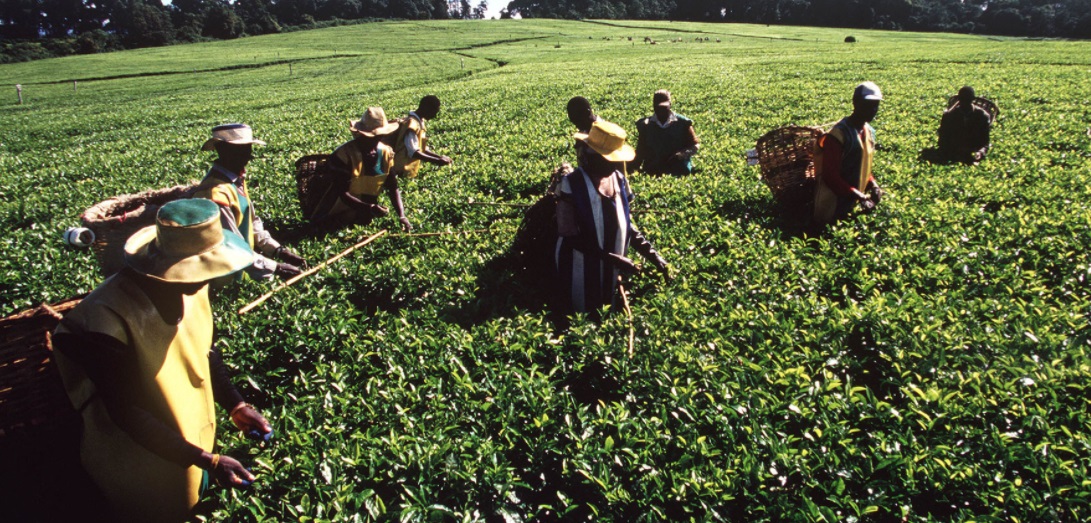 agro-tourism