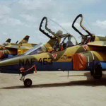 security engineering Abubakar terrorists