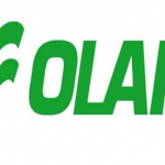 Olam
