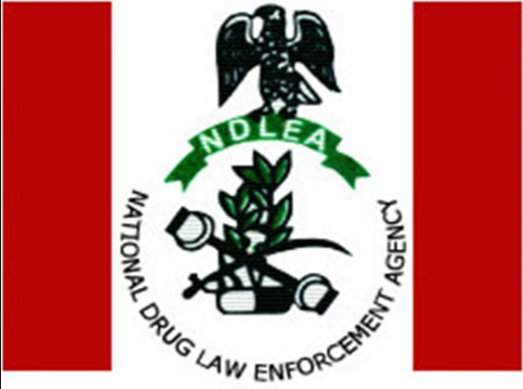 NDLEA