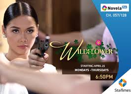 New Telenovela Series, Wildflower debuts on StarTimes