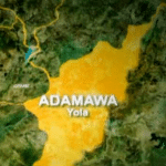 Adamawa, Students