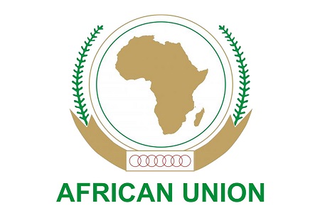 Meet the Nigerian appointed committee chairman of an African Union body