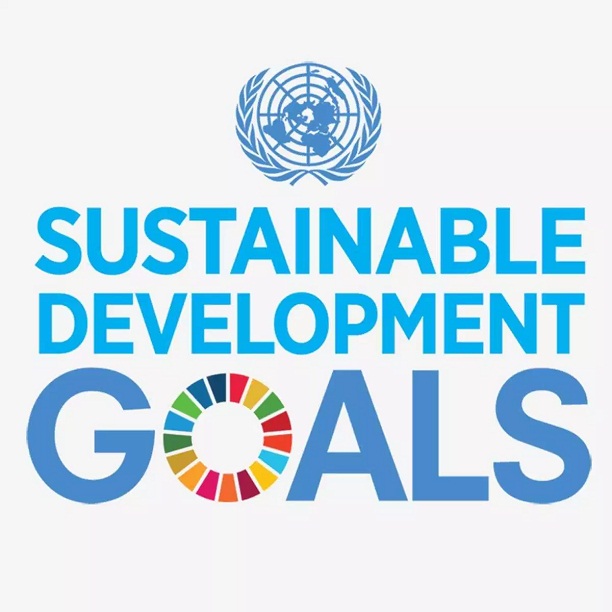 SDG, progress