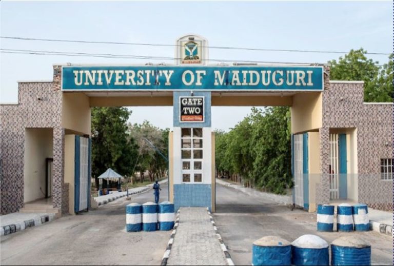 CSO knocks FG over multi-billion naira Maiduguri varsity fence