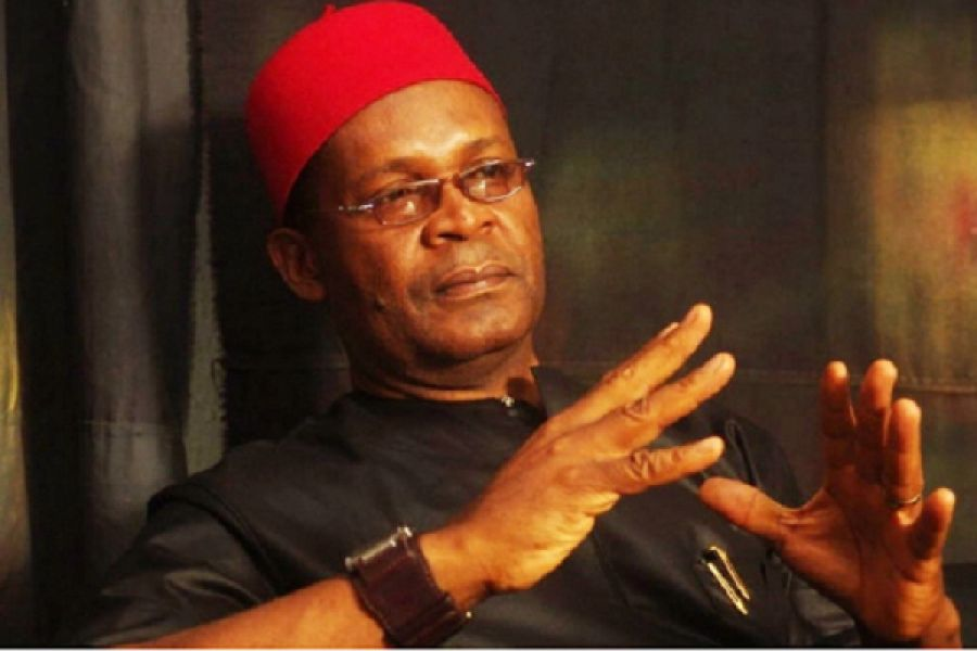 Joe igbokwe