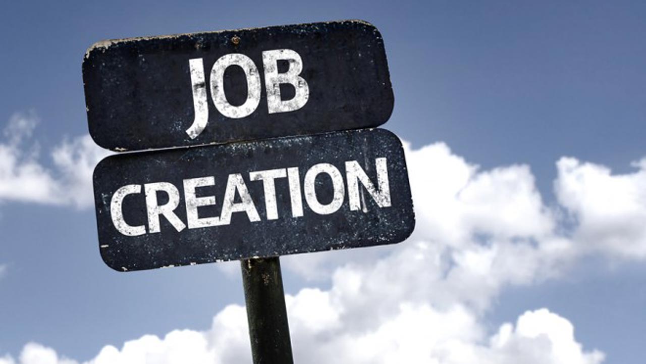 jobcreation- daily times