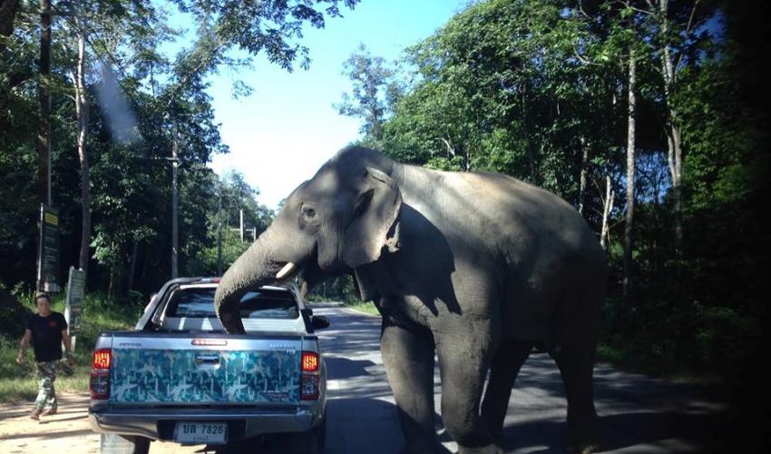 sri lanka