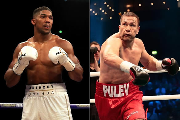 Joshua-Pulev