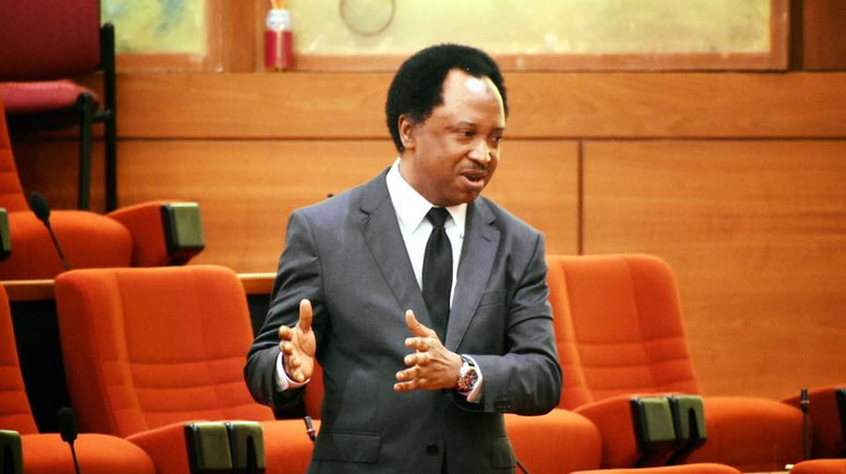 Shehu Sani, Buhari