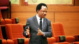 Shehu Sani