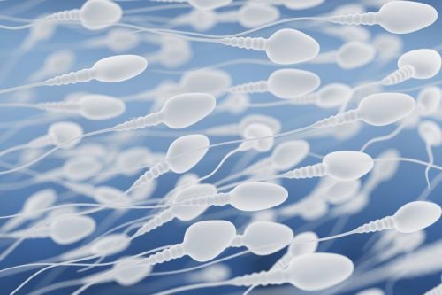 sperm