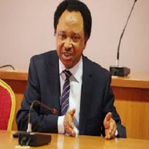 Senator Shehu Sani