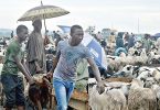 WHO fears possible rise of COVID-19 infections during Sallah