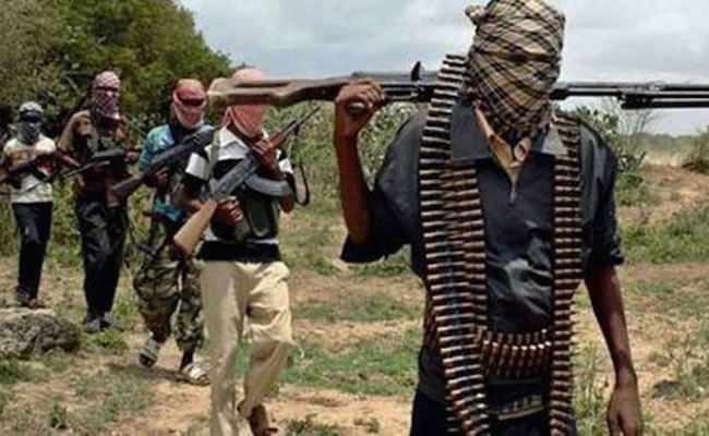 Commanders, 2 soldiers, Igbo prisoner executed by ISWAP