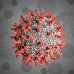 Coronavirus: WHO deploys team to South Africa