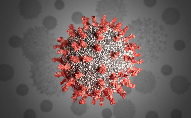 Coronavirus: WHO deploys team to South Africa