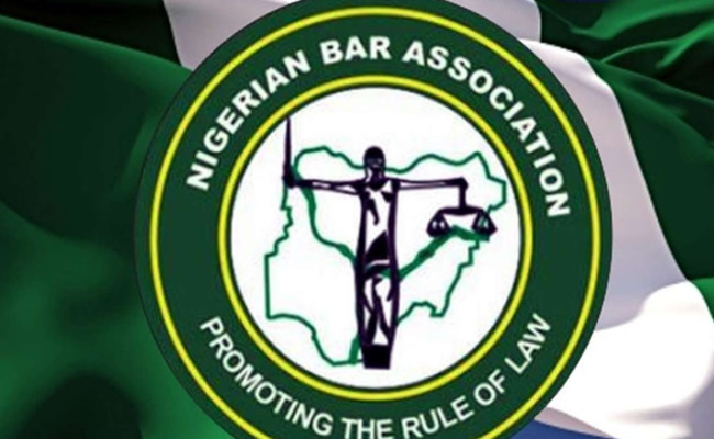 Ghost voters were smuggled into the NBA voting register – Egbe Amofin