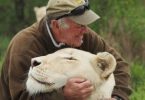 White lions kill man in South Africa