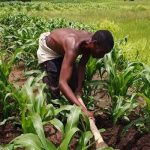 Farmers, Agriculture