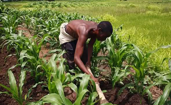 Farmers, Agriculture