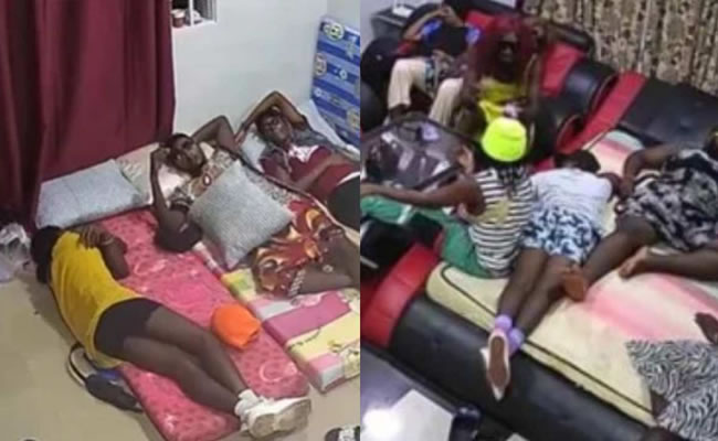 BBNaija: Reactions as Ghana Big Brethren surfaces online