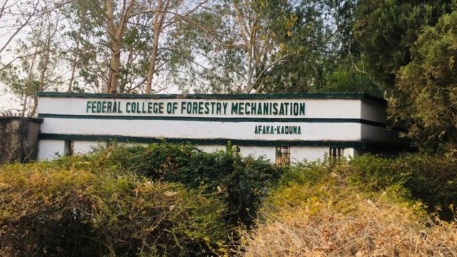 Kaduna forestry college