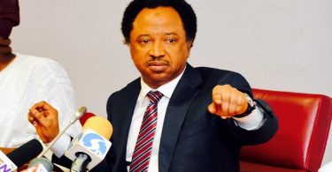 Senator Shehu Sani