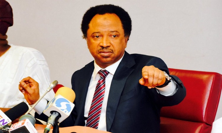 Senator Shehu Sani