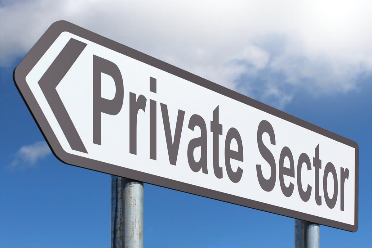 Private Sector