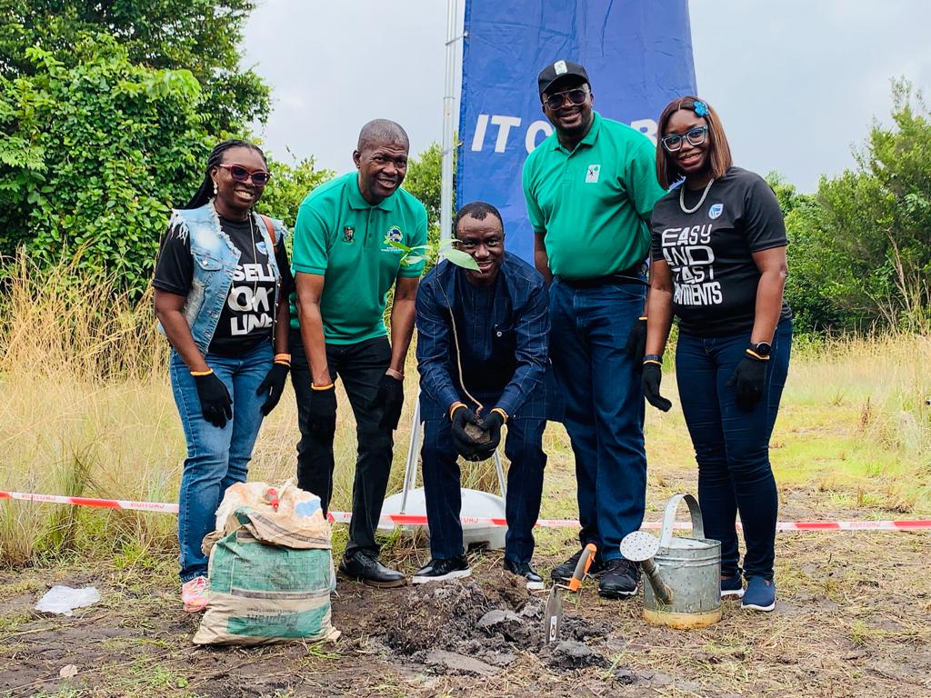 Tree planting