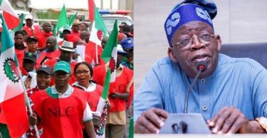 Tinubu, Labour