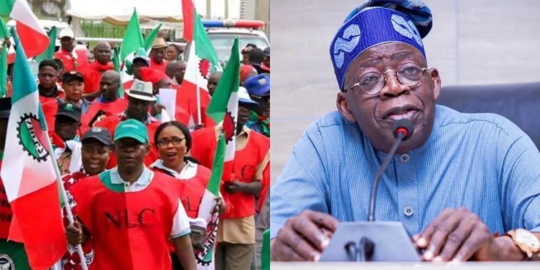 Tinubu, Labour