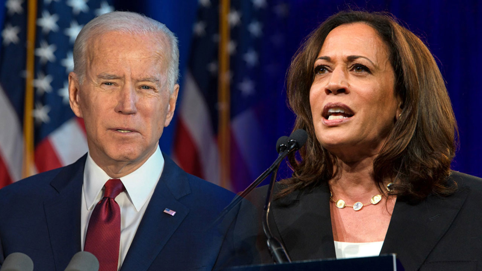 Kamala Harris, Biden