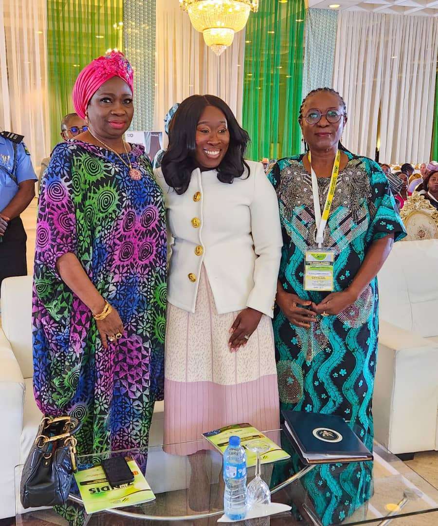 Hon. Abike Dabiri-Erewa, Diaspora