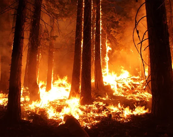 wildfires